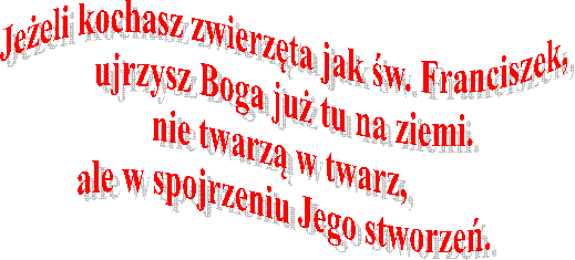 Jeeli kochasz zwierzta jak w. Franciszek,
ujrzysz Boga ju tu na ziemi.
nie twarz w twarz, 
ale w spojrzeniu Jego stworze.